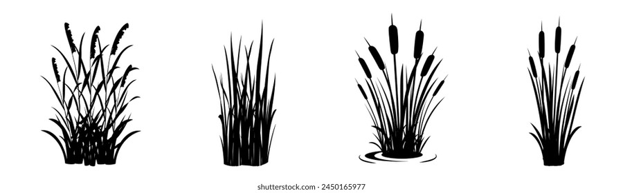 Silhouette of reeds on a white background. Set of swamp grass elements. Swamp vegetation for design.