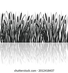 Silhouette of reeds and rushes in the green grass. Swamp and river plants with reflection in water. Vector flat illustration.