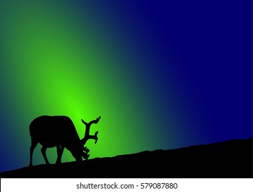 silhouette of a Reindeer in front of northern lights background
