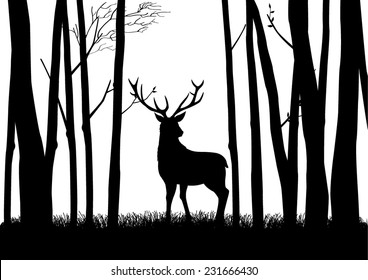 Silhouette of a reindeer in the woods