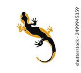 Silhouette of reptile, salamander, gecko, lizard isolated on white background.