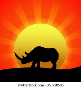 Silhouette of rhino at sunset.