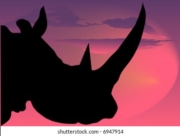 silhouette of rhinoceros