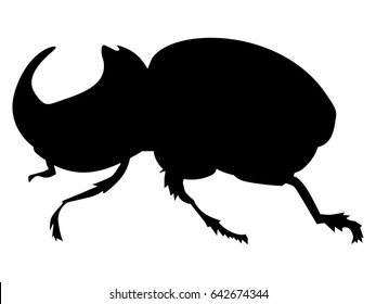 silhouette of rhinoceros beetle