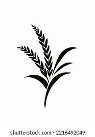 Icono de la planta de arroz o cebada aislado en fondo blanco Ilustración vectorial