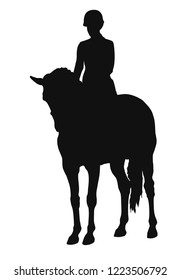 A silhouette of a rider and the horse stand still.