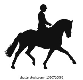 Silhouette of a rider on a horse execute the trot.