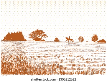 Silhouette of a rider on a horse on meadow.