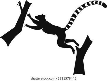 Silhouette of a ring tailed lemur jumping between trees with silhouette, wildlife