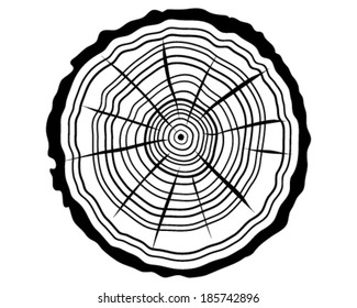 Silhouette of rings of trunk 1, vector