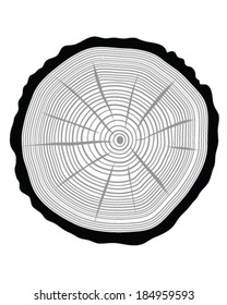 Silhouette of rings of trunk, vector 