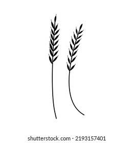  Silhouette of ripe spikelet and grains of wheat on white background. Simple black vector drawing. Agriculture wheat logo template vector icon design.