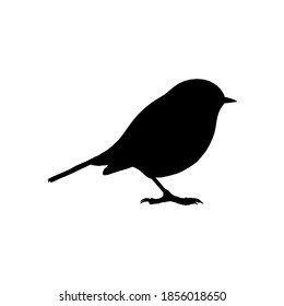 Silhouette robin on white background