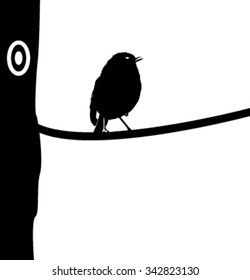 Silhouette of a robin standing on a tree branch
