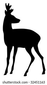 Silhouette Of Roe Deer