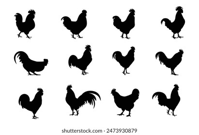 Silhouette of a rooster. Beautiful chicken. Vector illustration