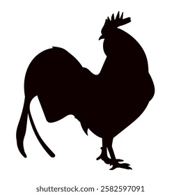 silhouette rooster on white background vector