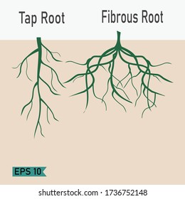 Silhouette Root Flat Style Fiber Roots Stock Vector (Royalty Free ...