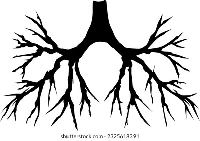Silhouette del sistema raíz sobre un fondo blanco