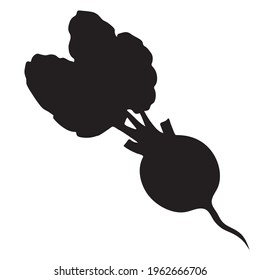 Verdura o rábano de raíz de silueta, verdura con hojas. Temporada de verano. Ilustración vectorial de silueta.
