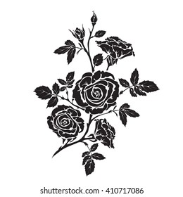 Silhouette rose branch with opened flowers and buds, hand drawn vector