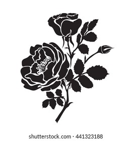 Silhouette rose branch with opened flowers and buds, hand drawn vector