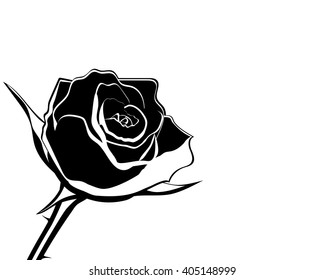 silhouette of rose flower on a white background