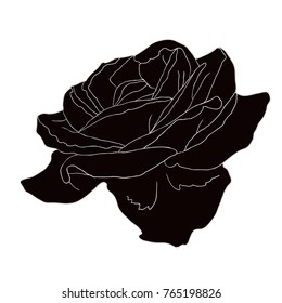 silhouette of rose flower top vector illustration