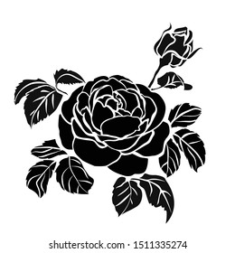 silhouette of rose isolated on white background. Vector illustration.