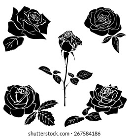 silhouette of rose isolated on white background. Vector illustration.