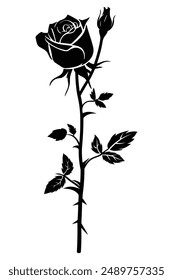 Silhouette of a rose with leaves and thorns growing on a stem, ideal for designs related to nature