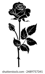 Silhouette of a rose with leaves and thorns growing on a stem, ideal for designs related to nature