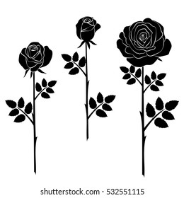 silhouette of rose on a white background