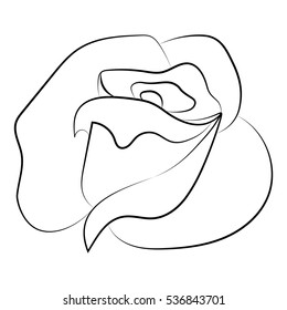 silhouette of rose on a white background