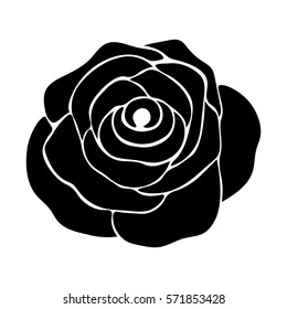 silhouette of rose on a white background