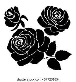 silhouette of rose on a white background