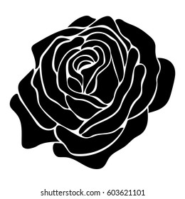 Silhouette of a rose on a white background