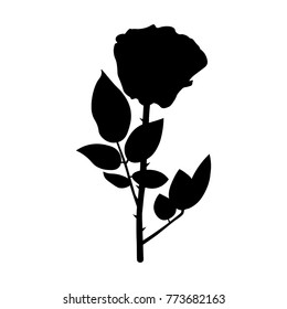 silhouette of the rose vector