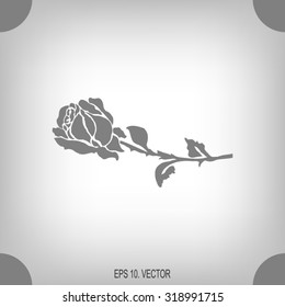 silhouette of rose. Vector illustration.