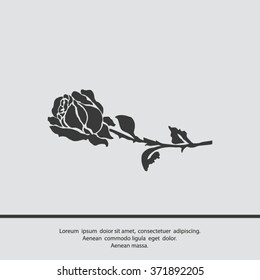 silhouette of rose. Vector illustration.