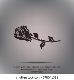 silhouette of rose. Vector illustration.