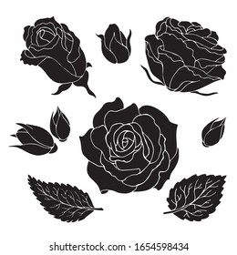 silhouette of roses, leaves, buds on a white background