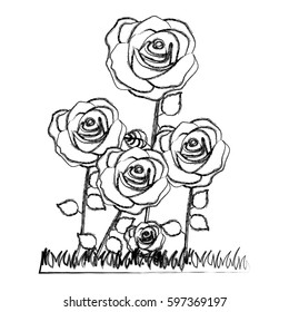 silhouette roses plants icon, vector illustraction design