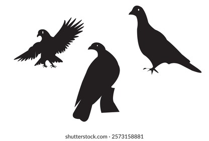 Silhouette Royalty Vector Pigeon with Black Colour