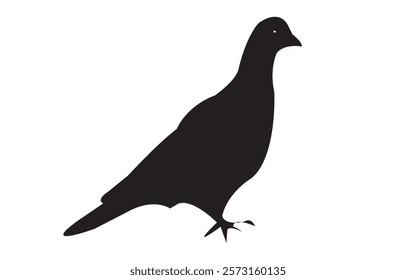 Silhouette Royalty Vector Pigeon with Black Colour