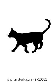Silhouette of running cat