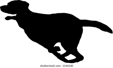 silhouette of a running dog