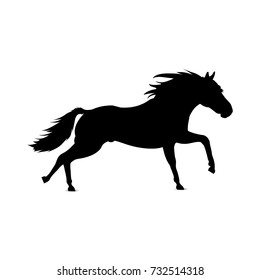 Beautiful Horse Silhouette Stock Vector (Royalty Free) 242665927