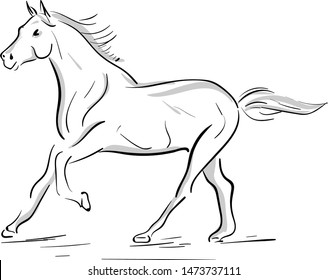 A silhouette of a running horse in gray, vector, color drawing or illustration.