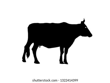 Silhouette of a rural cow isolated on white background. Side view. Vector illustration.